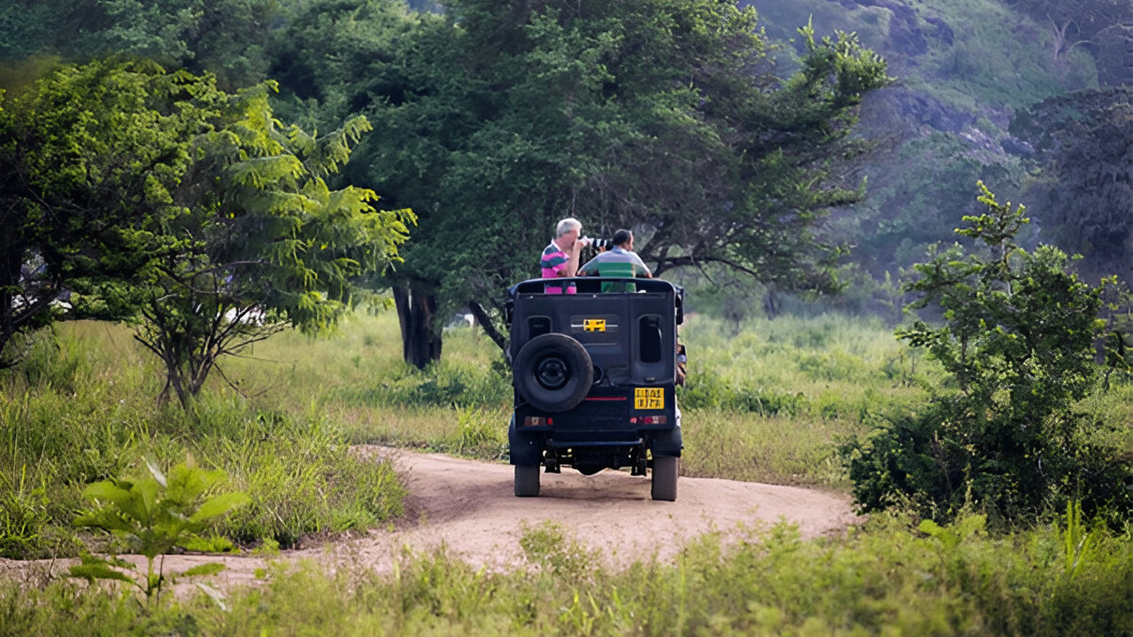Yala nationalpark (block 5) Etisk safari
