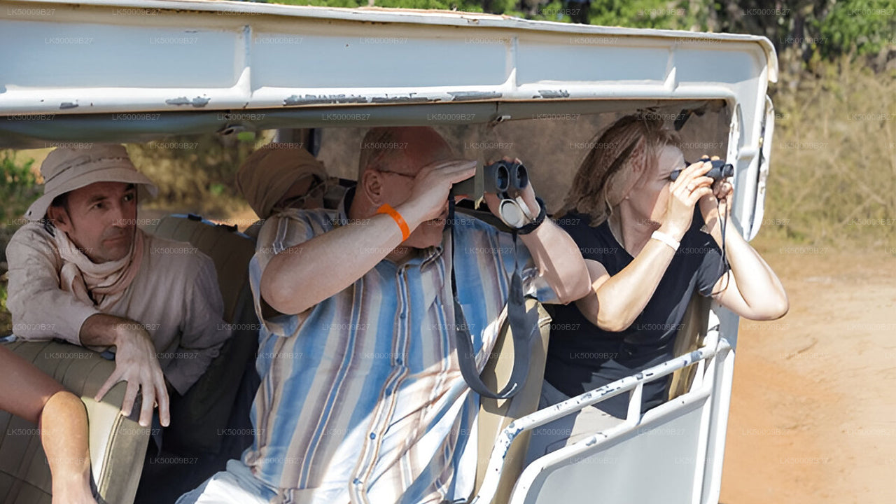 Privat tur från Weligama till Ella med Yala Safari