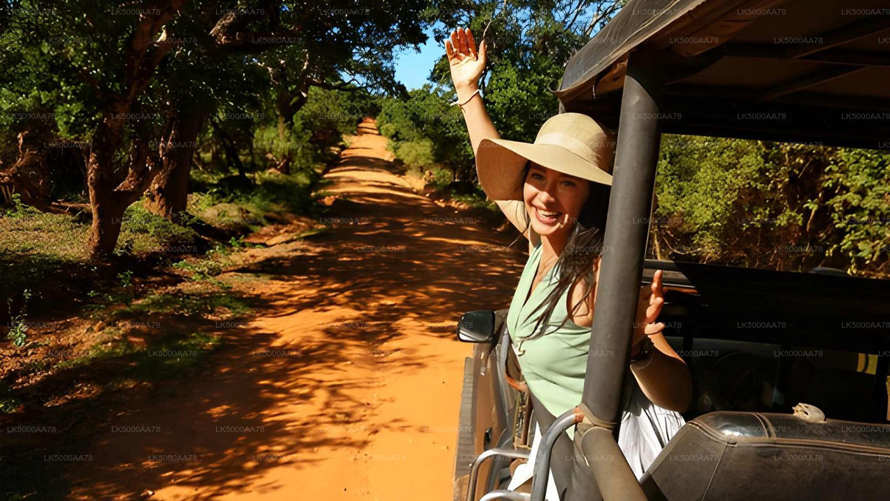 Wilpattu nationalpark privat safari