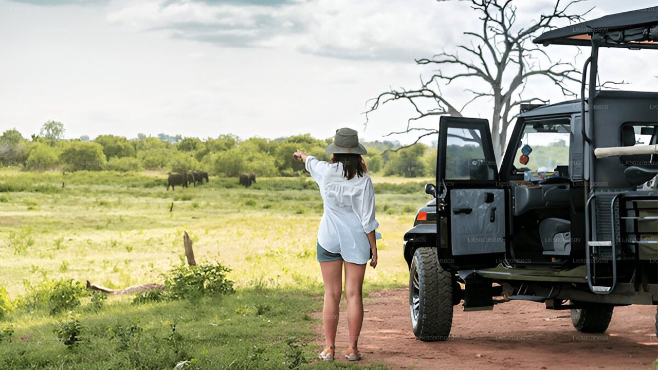 Private Tour from Ella to Unawatuna with Udawalawe Safari