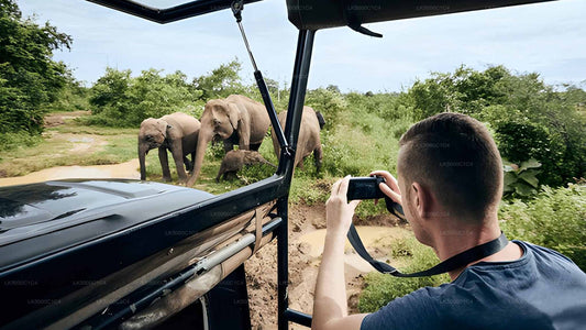Privat tur från Ella till Hiriketiya med Udawalawe Safari