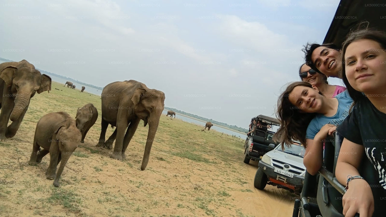 Privat tur från Ella till Hiriketiya med Udawalawe Safari