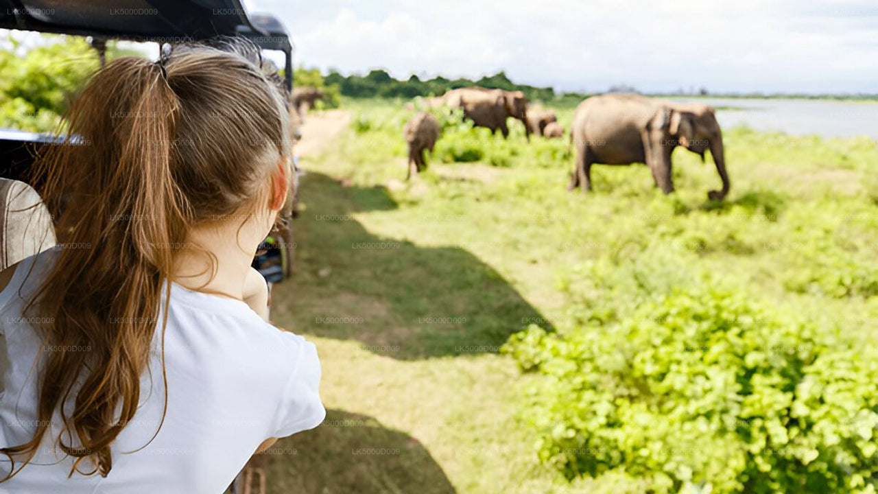 Privat rundtur från Galle till Ella med Udawalawe Safari