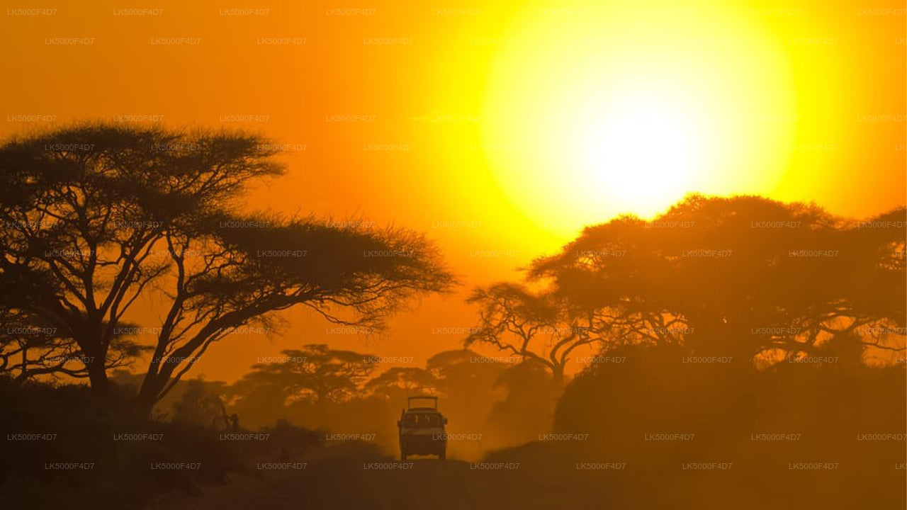 Privat tur från Ella till Hiriketiya med Yala Safari