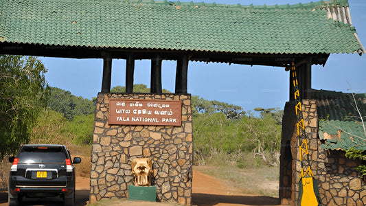 Yala nationalpark (block 5) Etisk safari