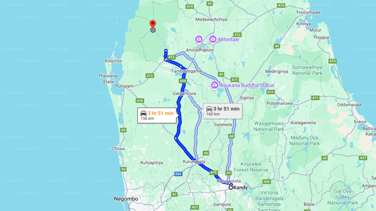 Wilpattu National Park Safari from Kandy