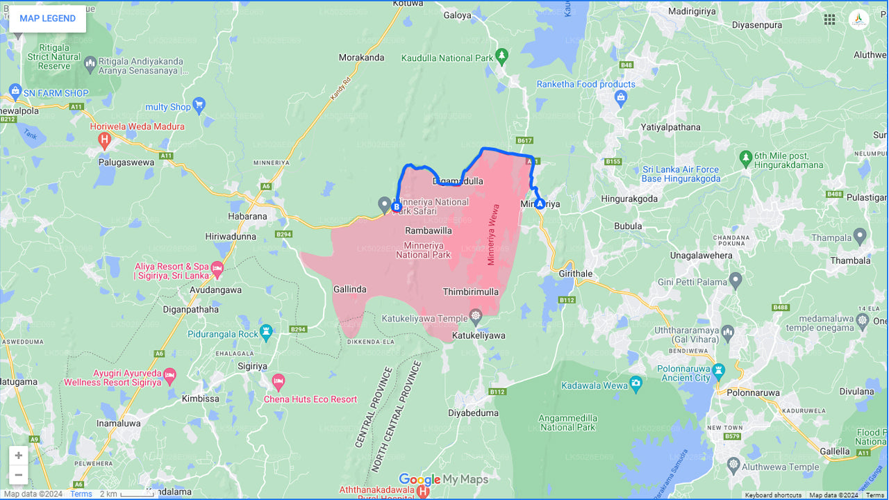 Den stora elefantsamlingens privata safari från Minneriya