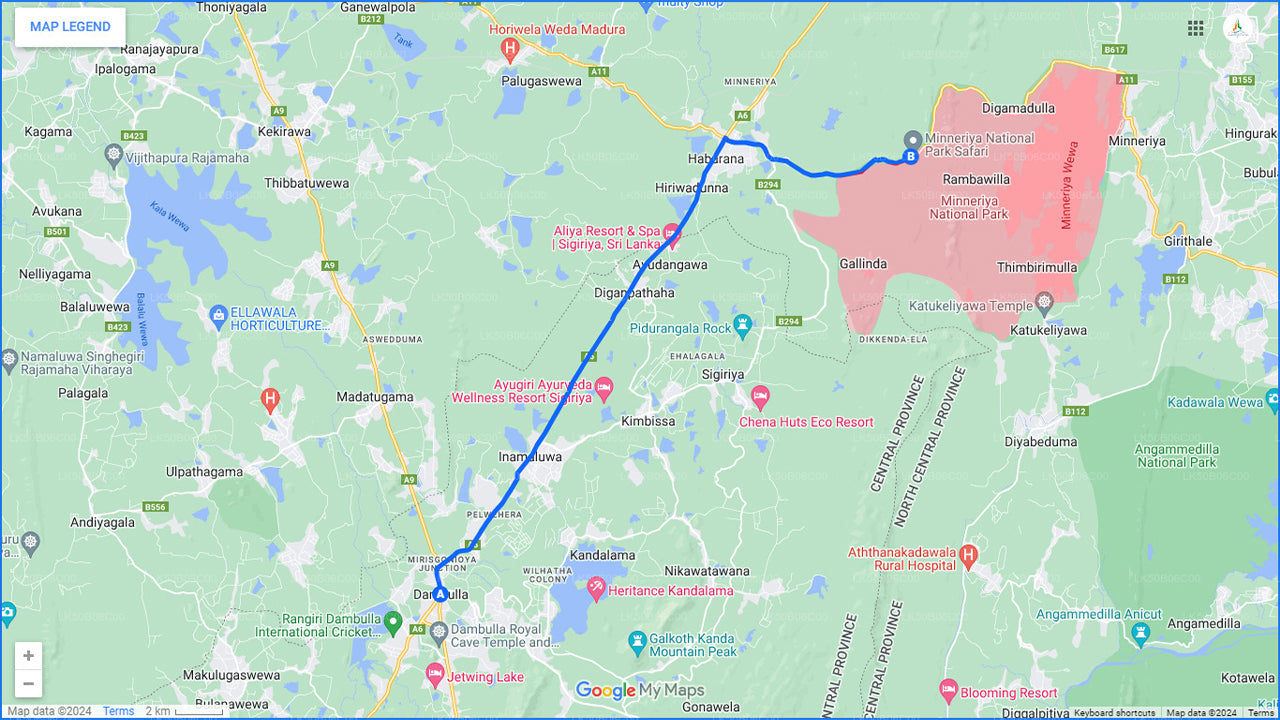 Minneriya nationalpark privat safari från Dambulla