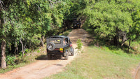 Delad safari i Kaudulla nationalpark