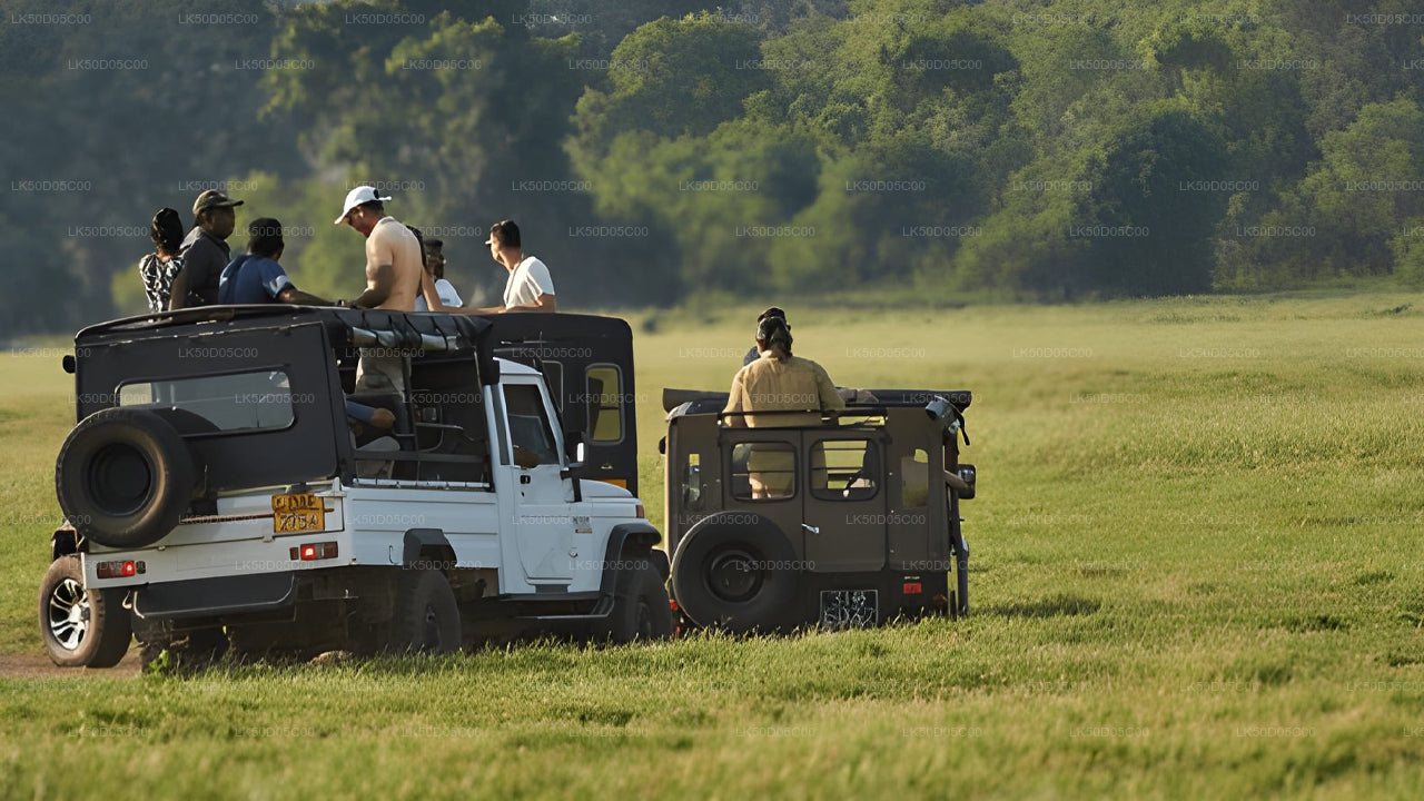 Kaudulla National Park Privat Safari från Sigiriya