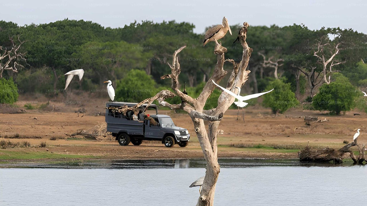 Bundala nationalpark Privat Safari