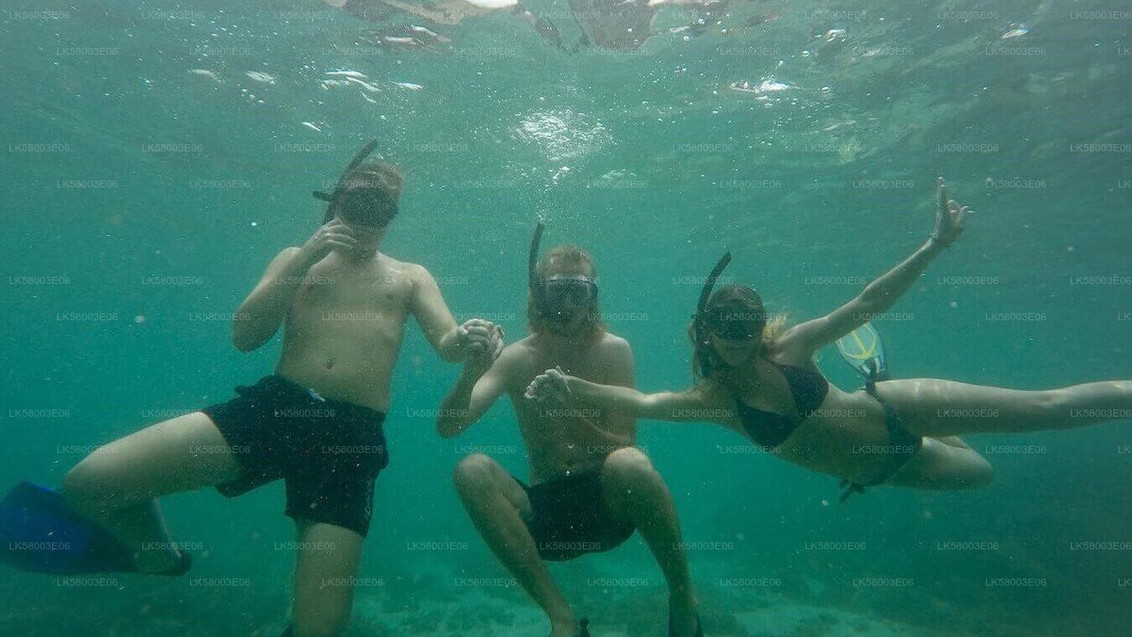 Snorkling från Ahangama