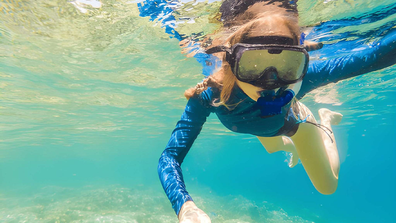 Snorkling med havssköldpaddor från Bentota