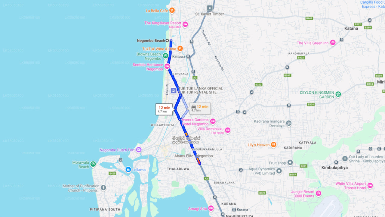 Snorkling från Negombo