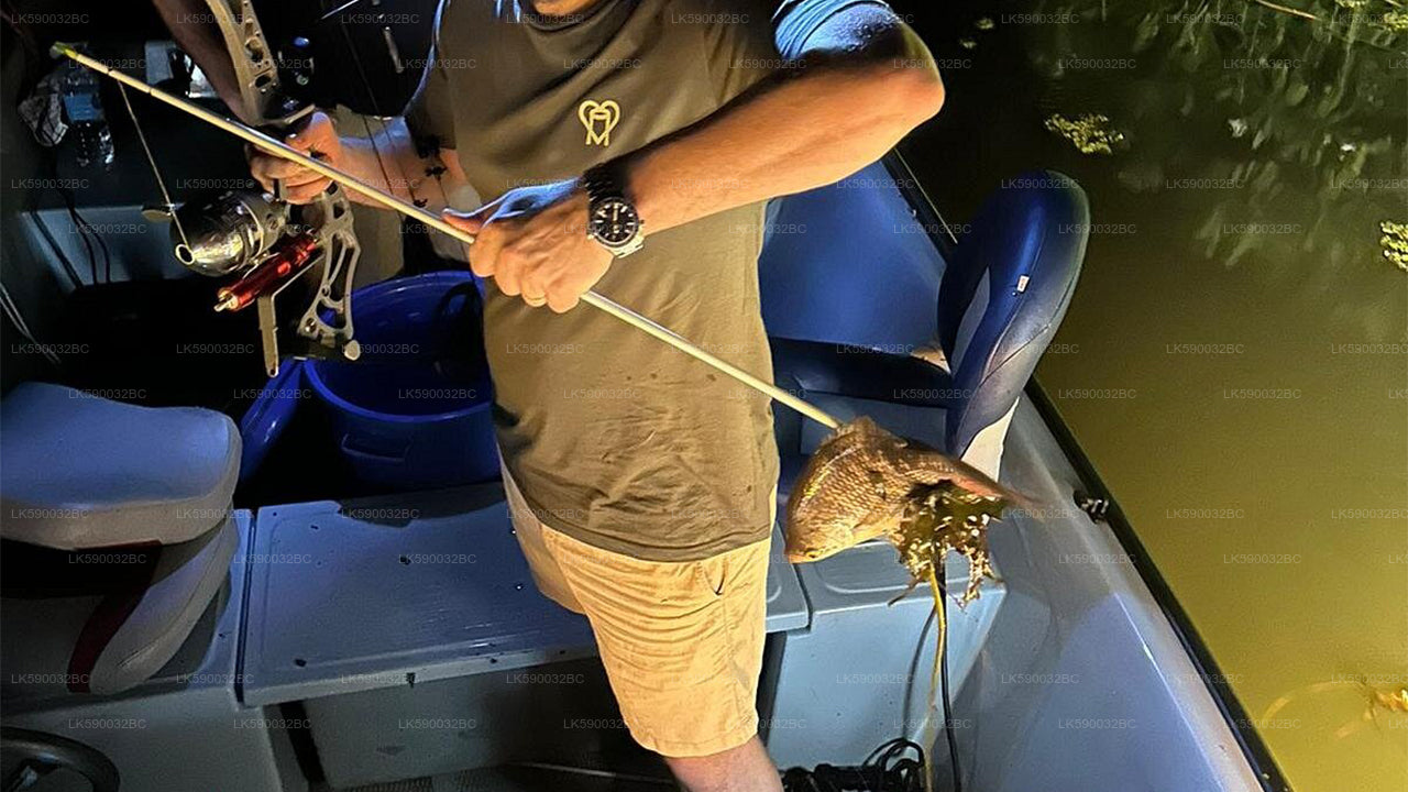 Fishing & Bowfishing Combo Package from Bolgoda Lake