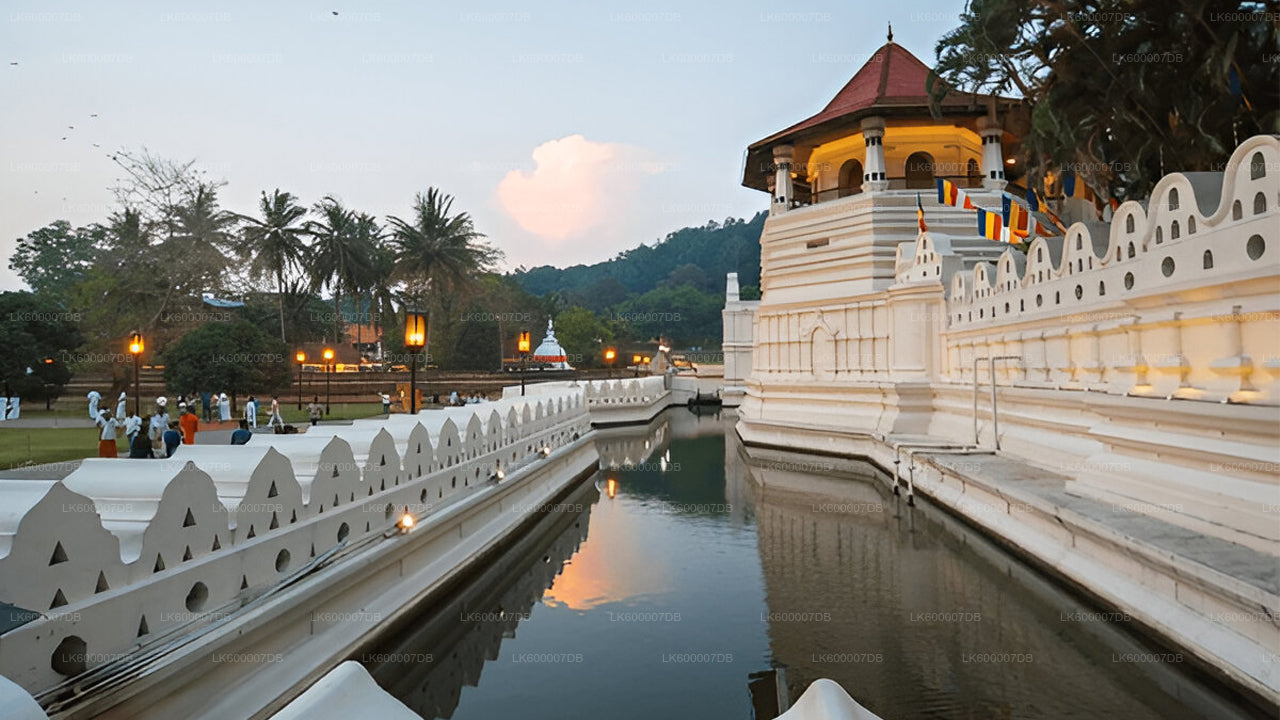 Traditional temple with a moat and palm trees at dusk