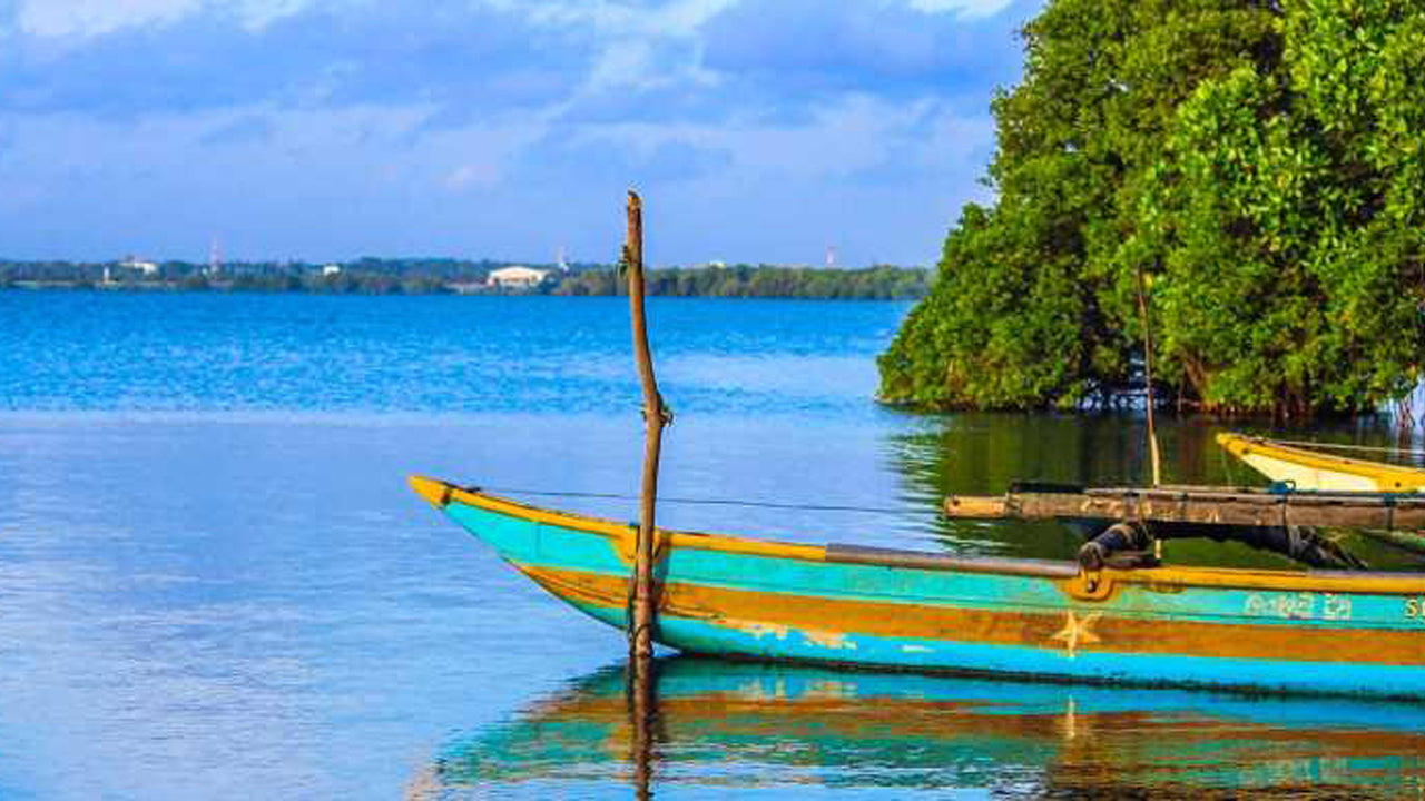 Negombo City Tour från Colombo