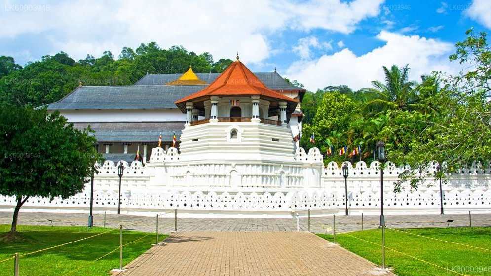 Private Transfer: Sigiriya to Kandy with Polonnaruwa Ancient City Tour