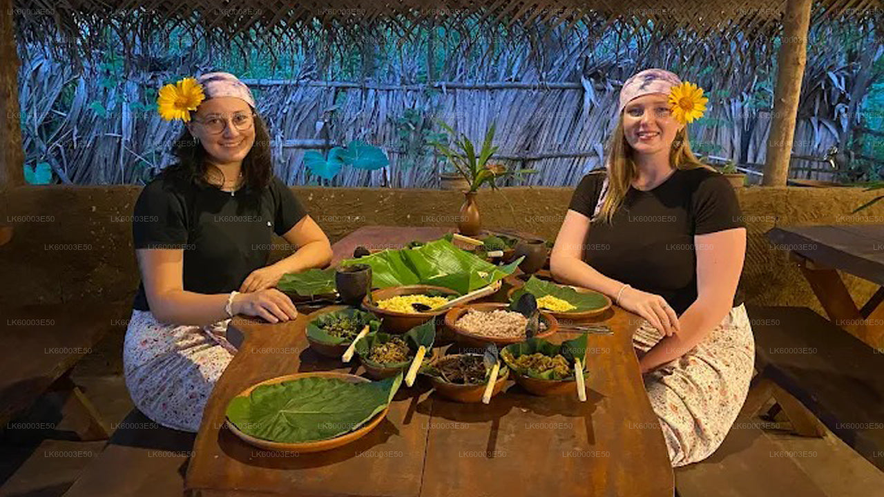 Sri Lankas jordbruk, ädelstengruva och byupplevelse av Ceylon 1850