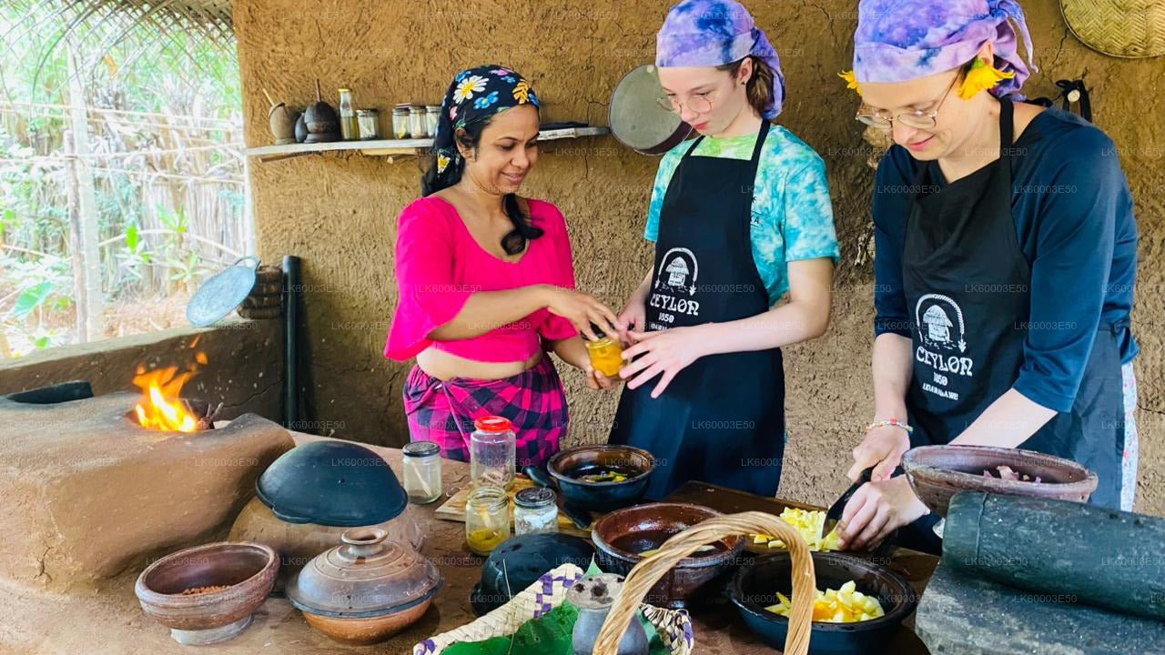 Sri Lankas jordbruk, ädelstengruva och byupplevelse av Ceylon 1850