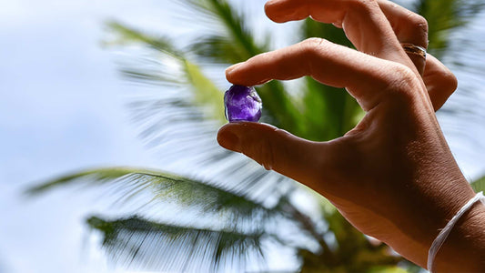 Sri Lankas jordbruk, ädelstengruva och byupplevelse av Ceylon 1850