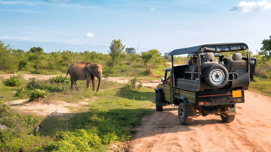 Private Tour from Arugam bay to Weligama with Udawalawe Safari