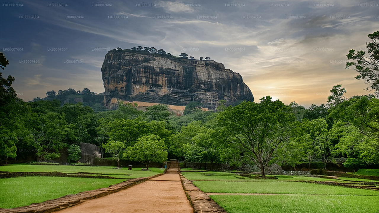 Sigiriya and Dambulla Cave from Bentota