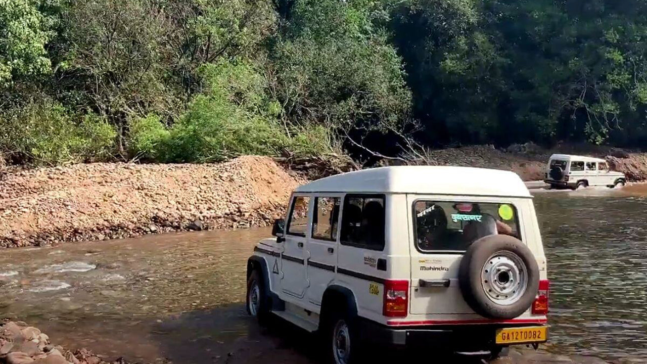 Explore 7 Majestic Waterfalls by Jeep
