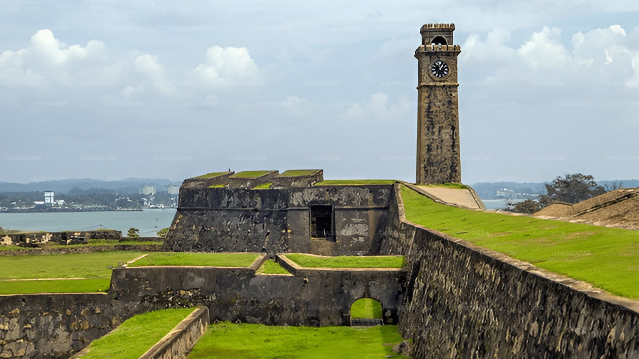 Southern Coast Highlights from Kosgoda