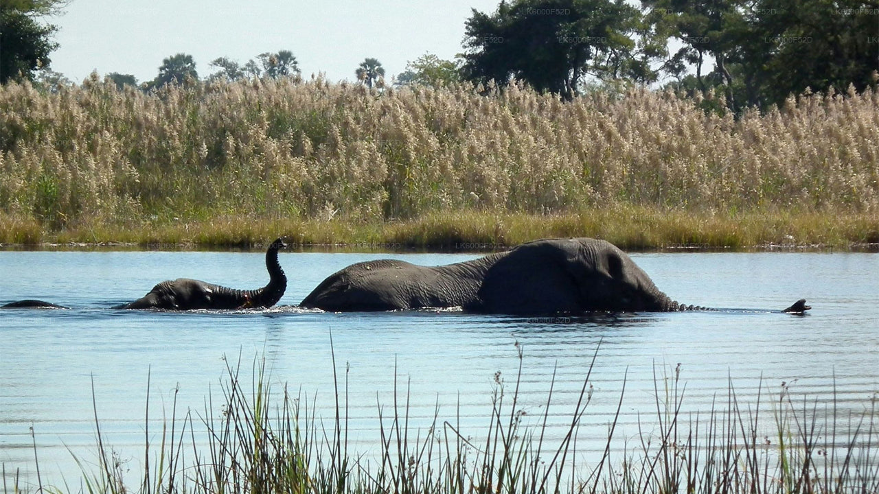 Camping Experience in Gal Oya (3 Days)