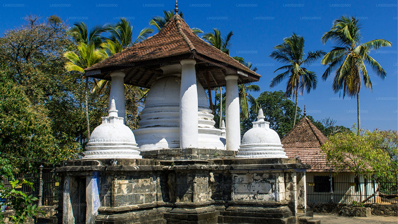 Temple Run-tur från Kandy