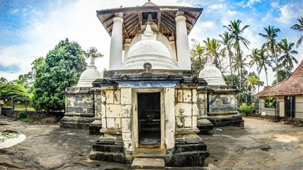 Temple Run-tur från Kandy