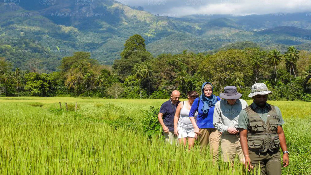 Hiriwadunna Village Tour från Habarana