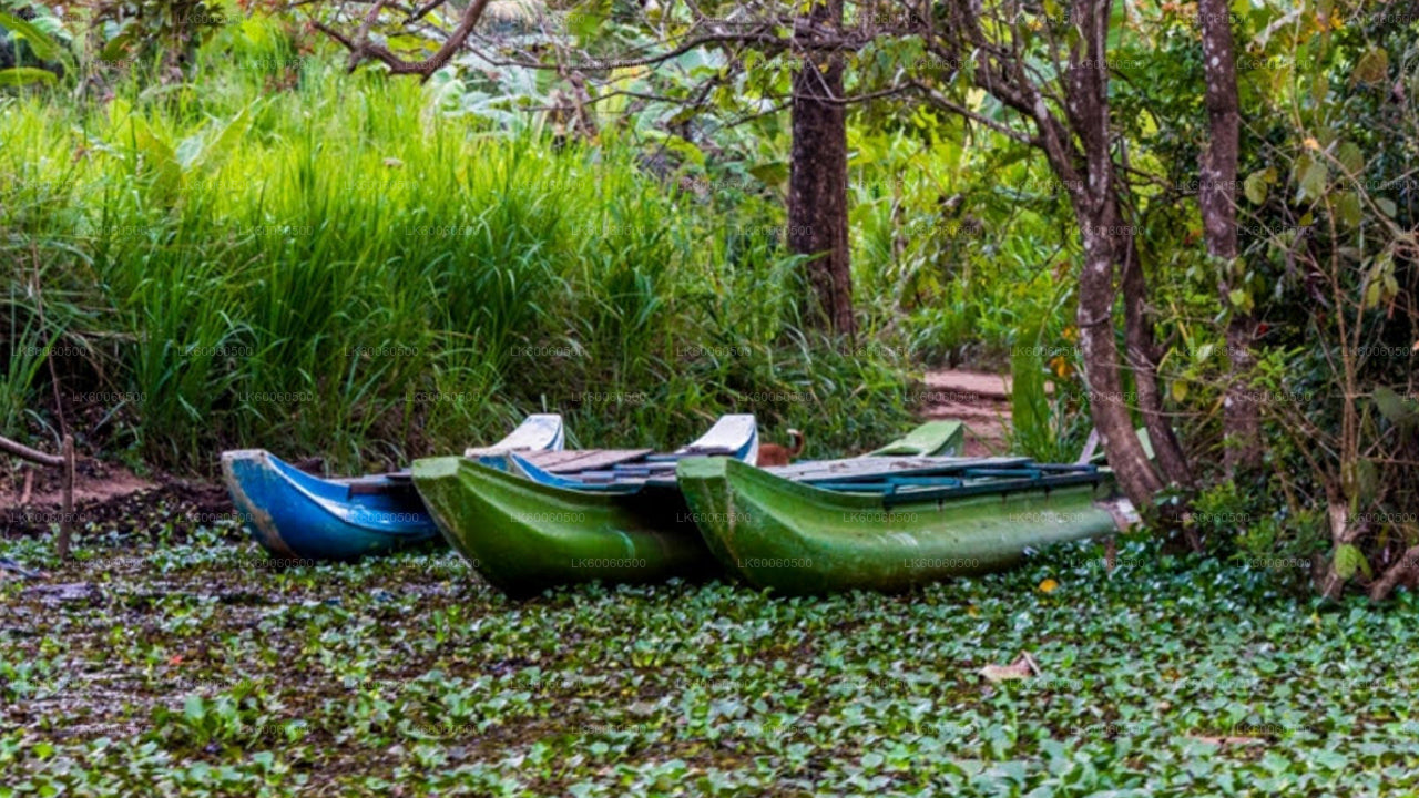 Hiriwadunna Village Tour från Habarana