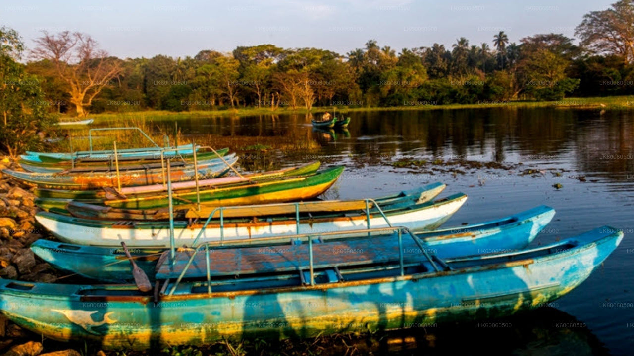 Hiriwadunna Village Tour från Habarana