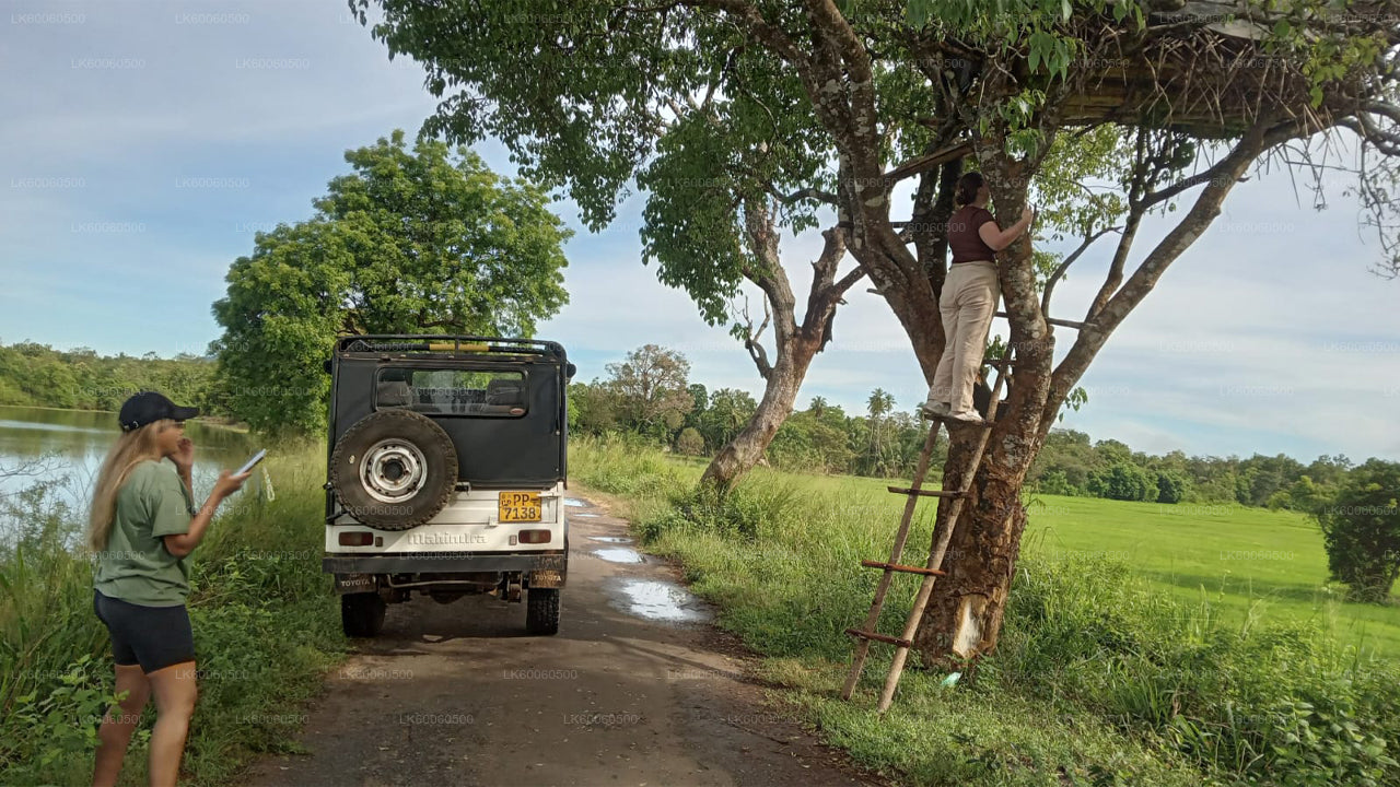 Hiriwadunna Village Tour från Habarana