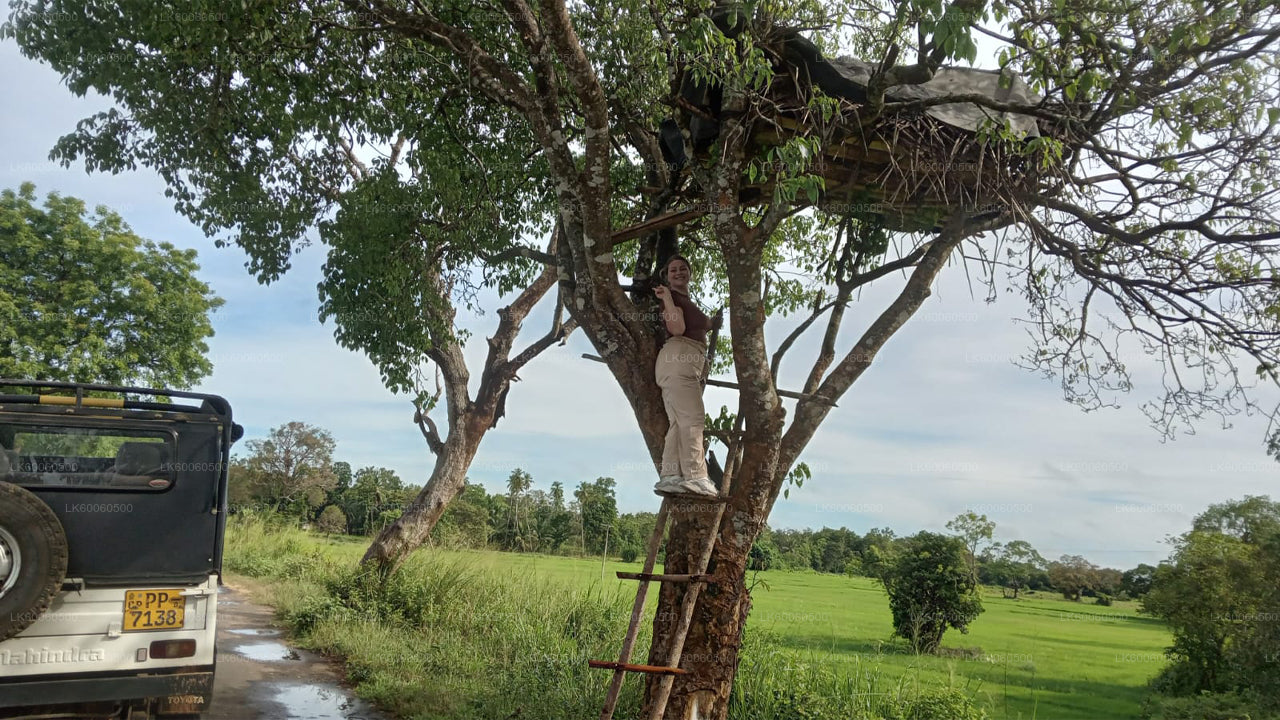 Hiriwadunna Village Tour från Habarana