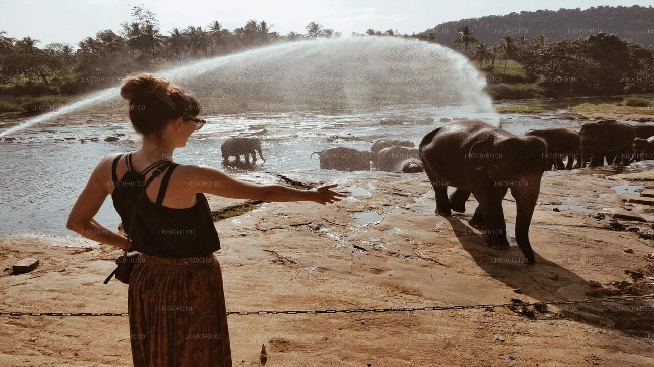 Kandy City Tour från Kitulgala