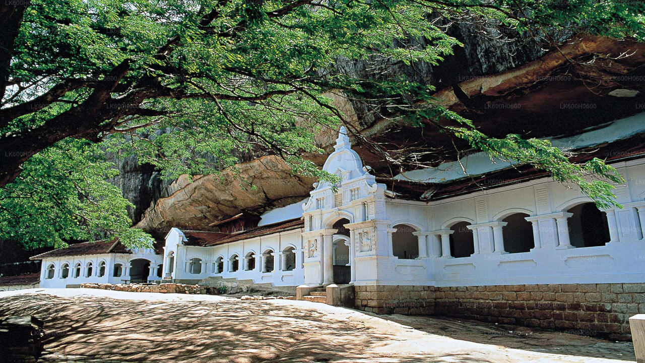 Sigiriya och Dambulla från Kitulgala