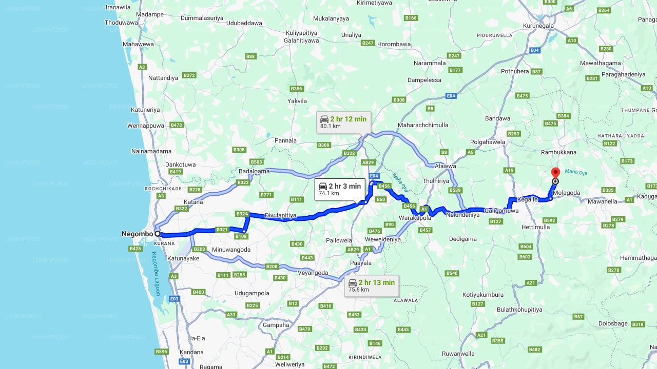 Millennium Elephant Foundation från Negombo