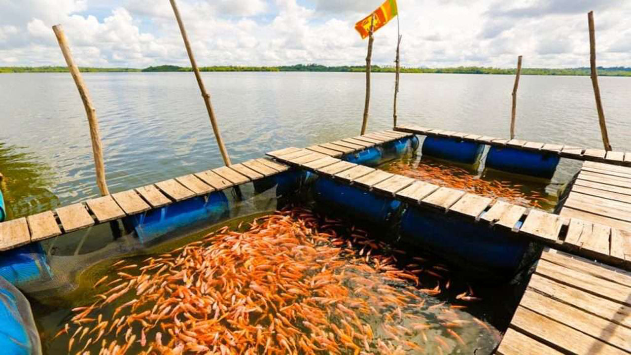 Coastal Ride to Galle from Panadura