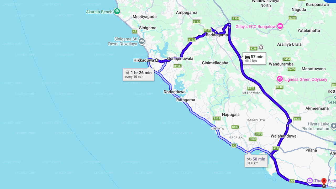 Sköldpaddungarna släpps fritt från Habaraduwa