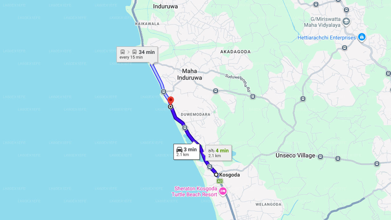 Sköldpaddskulpung släpps fri från Kosgoda