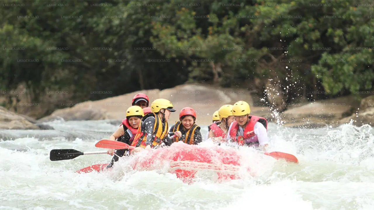Colombo City to Nuwara Eliya City Private Transfer with Rafting Adventure