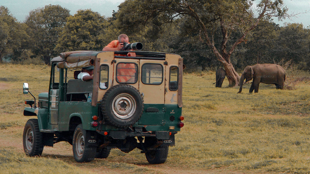 Privat rundtur från Mirissa till Ella med Udawalawe Safari