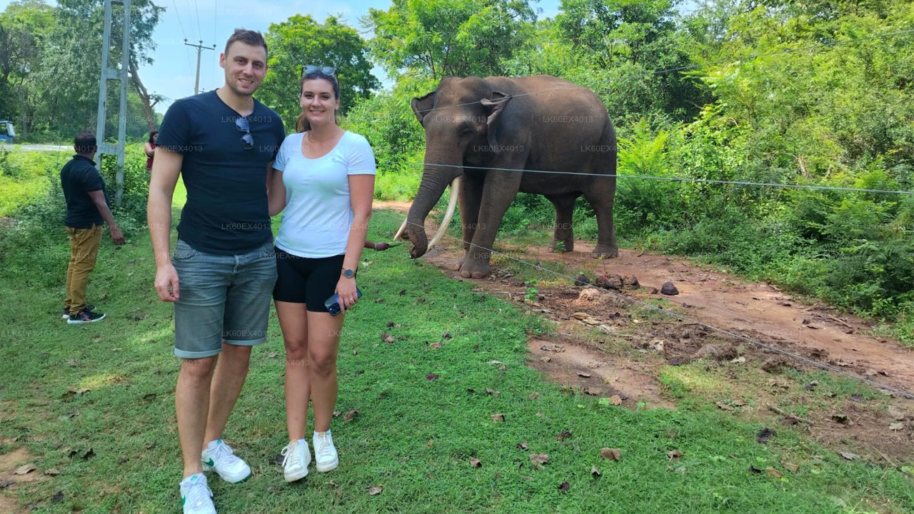 Privat rundtur från Mirissa till Ella med Udawalawe Safari