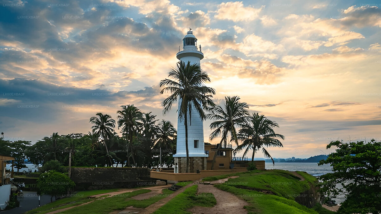 Lighthouse surrounded by palm trees with a sunset sky