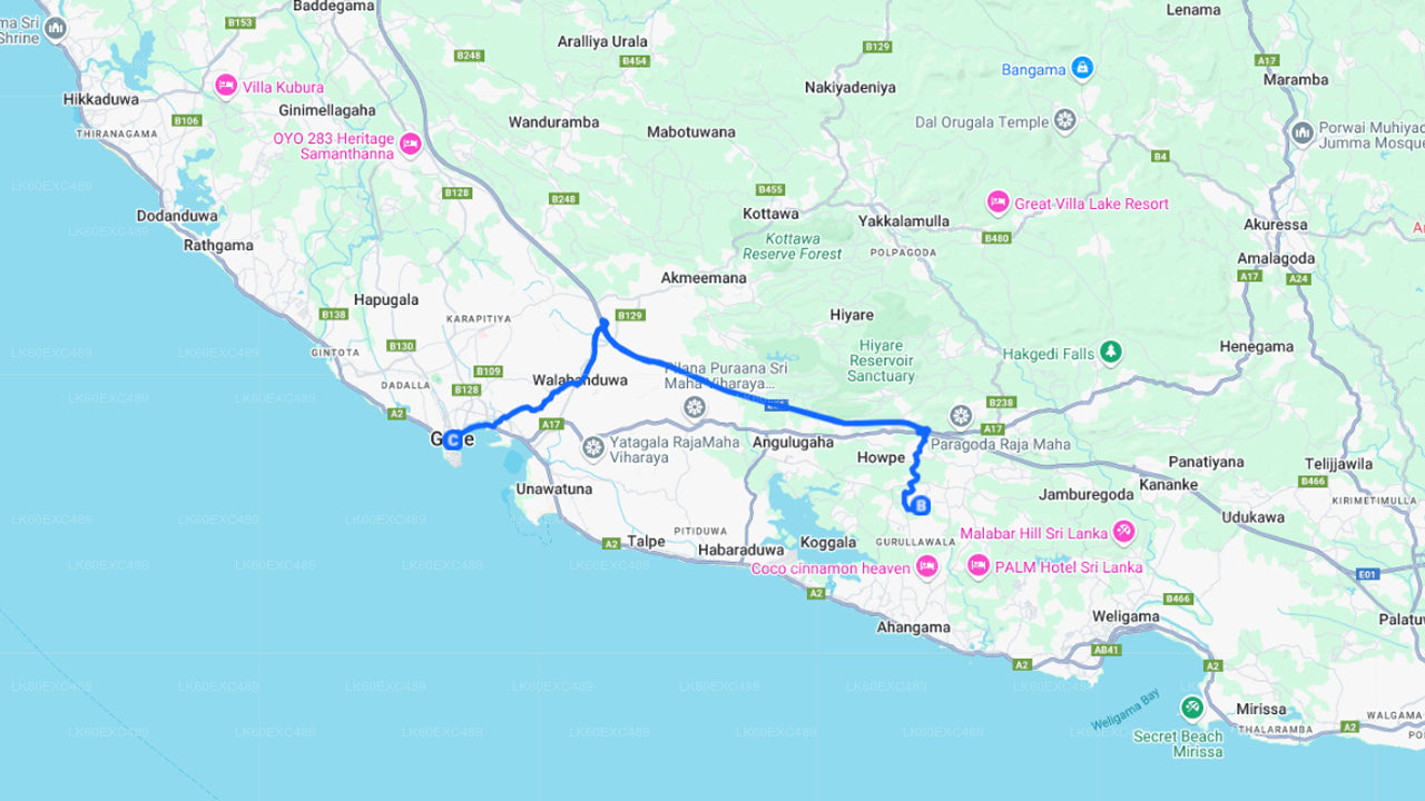 Low-grown Tea Factory Visit and Tea Tasting Experience From Galle