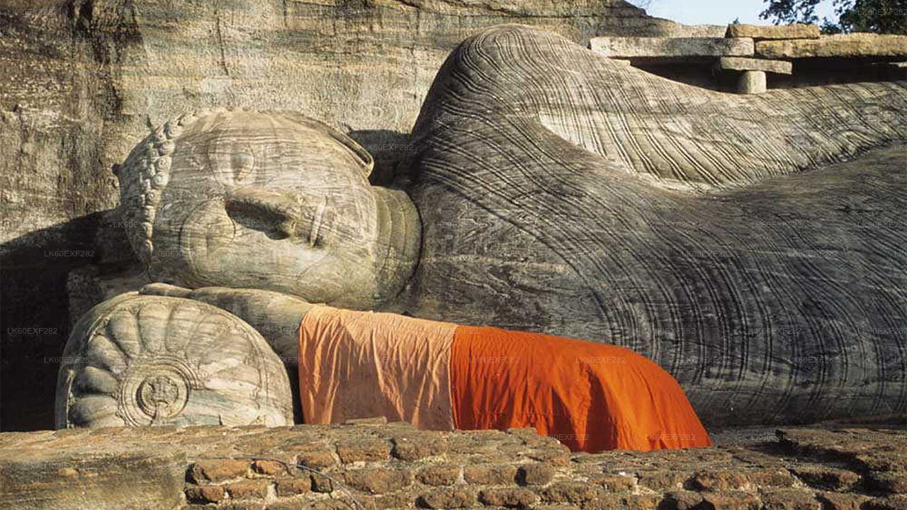 Sigiriya till Pasikudah Privat överföring med Polonnaruwa Ancient City Tour
