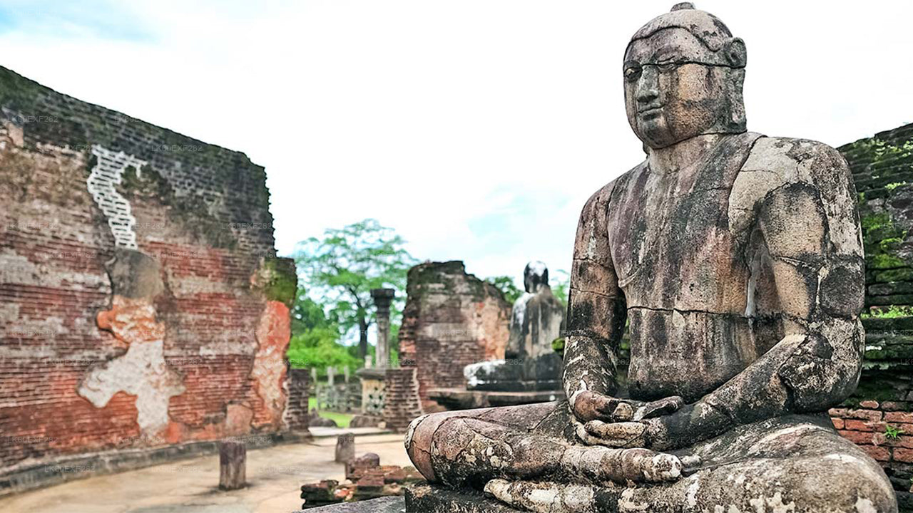 Sigiriya till Pasikudah Privat överföring med Polonnaruwa Ancient City Tour